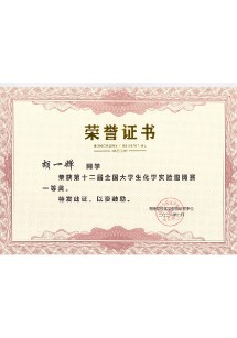  CCE12 一等奖 胡一婵