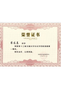  CCE12 一等奖 薛连基
