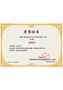  微瑞杯第四届总决赛特等奖